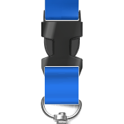 Buckle metaal zwart